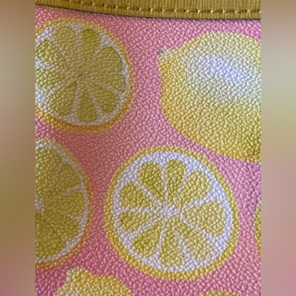 Dooney & Bourke “Citrus Delight” Lemon Print Ginger Pouchette Crossbody Bag - Picture 5 of 15